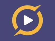 脉冲音乐播放器 PulsarMusic Player Pro v1.13.11 build 291高级版