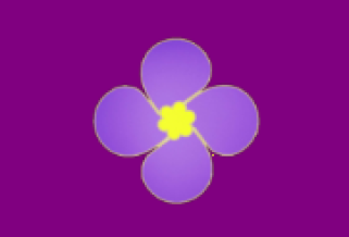 安卓免费影视神器 紫金草视频 v4.7.3 去广告版