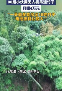 四川00后小伙无人机运竹子月入4万，电池成本惊人揭露
