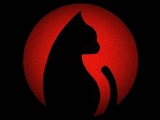 安卓追剧猫(追剧随心所欲,随搜随看)v4.2.0 去广告版