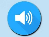 Volume Control Pro「音量控制器+」v6.5.2 直装付费专业版