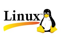 Linux系统和宝塔面板如何启用禁ping功能?