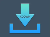 Xdown v2.0.7.5 (支持油管下载) 免费无广告多线程下载工具