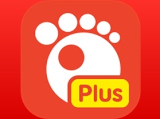 GOM Player Plus(视频播放器)v2.3.93.5363_中文绿色破解版