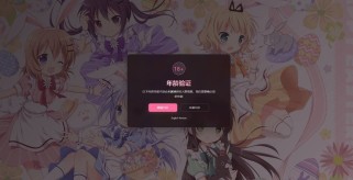 18+年龄验证恶搞页源码