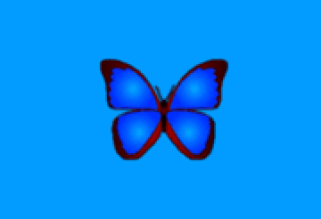 bkViewer v8.3b 绿色版(小巧精悍的数码照片浏览器)