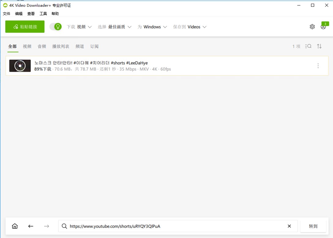 4K Video Downloader+ v1.4.3.0060免激活中文绿色破解版 第3张