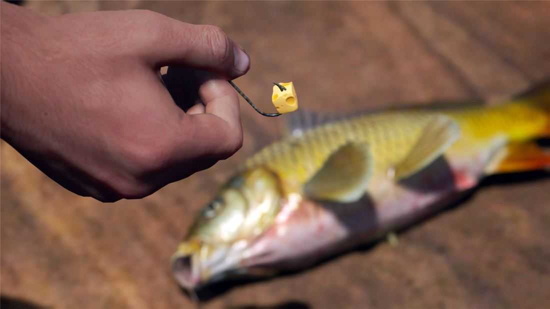 人渣 v1.1.0.2.99989 全DLC免安装绿色中文版 第5张 人渣 v1.1.0.2.99989 全DLC免安装绿色中文版 第5张